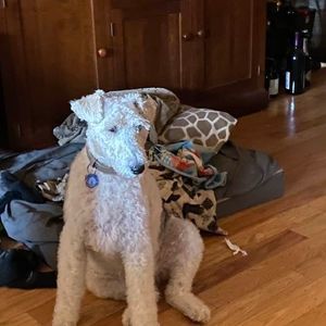 Meet your Posher, Jeff